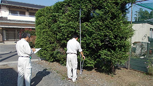 立竹木の調査